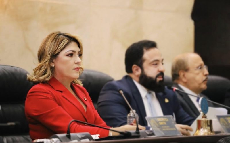 Acusan a Luis Redondo de incumplir la ley en manejo de renuncia en el CNE