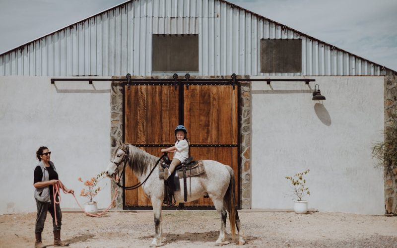 Corrupción: países peor evaluados en los rankings